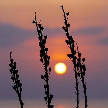 Da Marta Vista Mare Mozzafiato Isola Rossa Appartamento Cascabraga