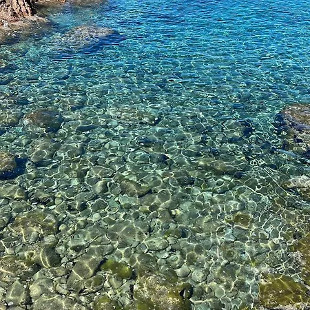 Da Marta Vista Mare Mozzafiato Isola Rossa דירה Cascabraga