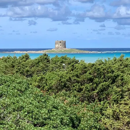 Da Marta Vista Mare Mozzafiato Isola Rossa דירה